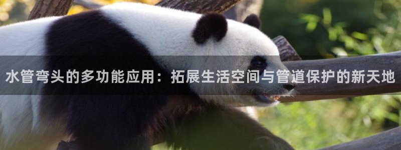 威九国际网站入口rdquo