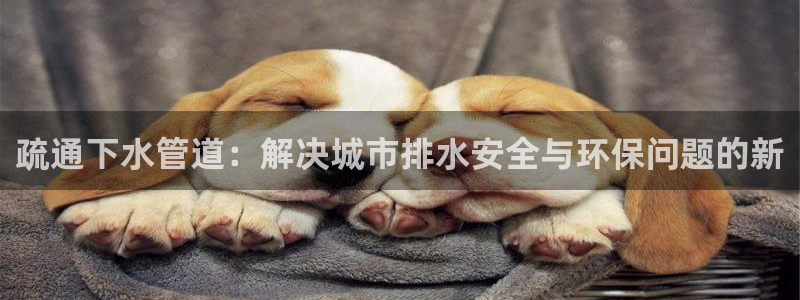 威九国际宣传片
