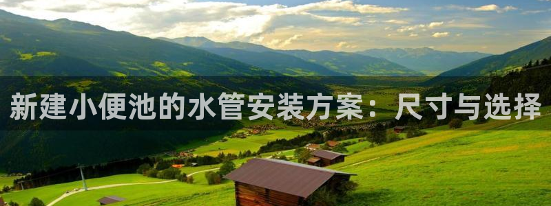 威九国际官网版