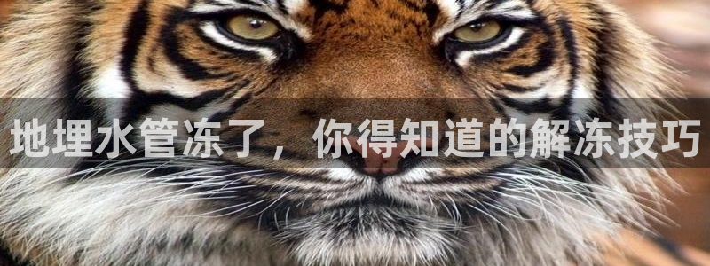 威九国际网站链接