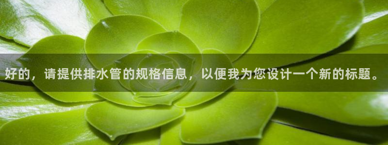 威九国际网站入口地址在哪里