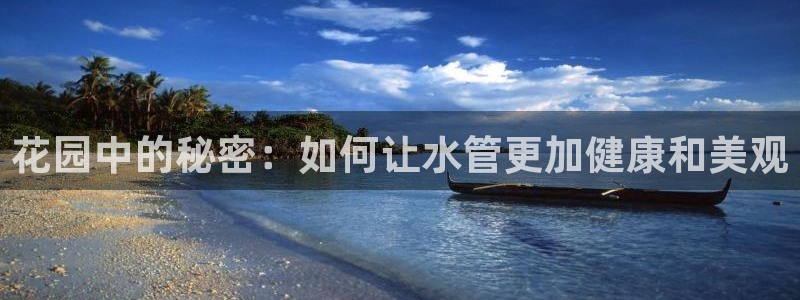 威九国际游戏入口