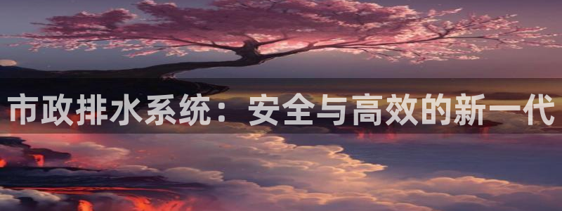 威九国际全国空降