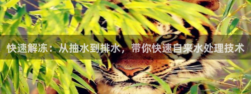 威九国际图片