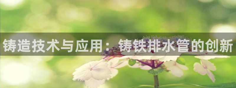 威九国际app网站