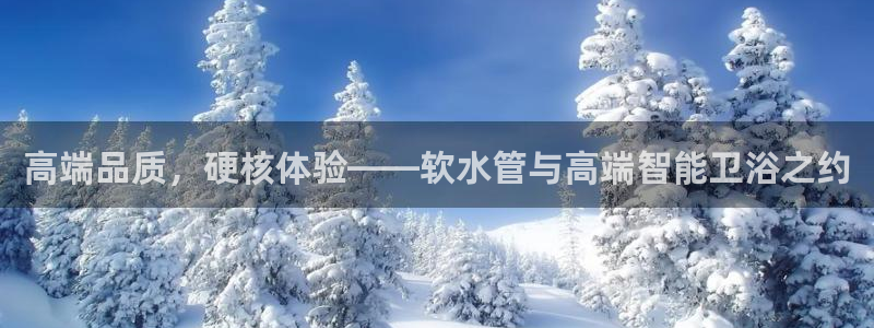 威九国际66cm