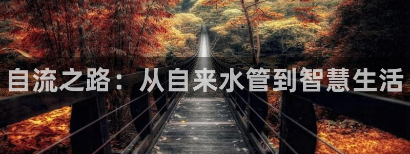 威九国际取款不到账