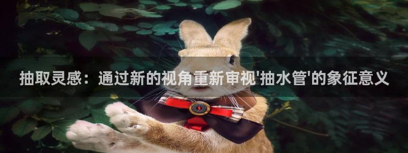 威九国际软件公司简介