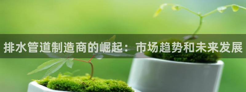 威九国际网站下载