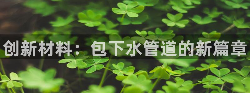 威九国际ppt免费