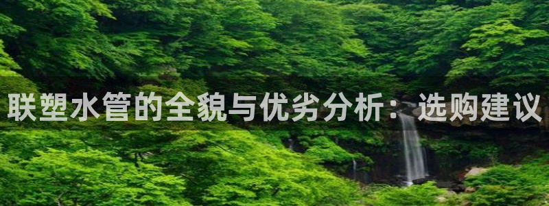 威九国际78