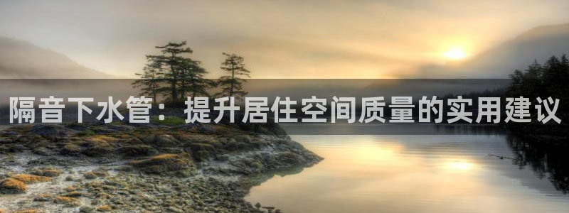 威九国际X8