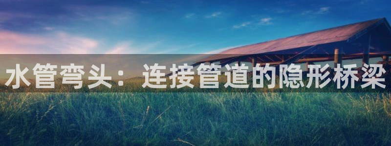 威九国际客服电话号码是多少