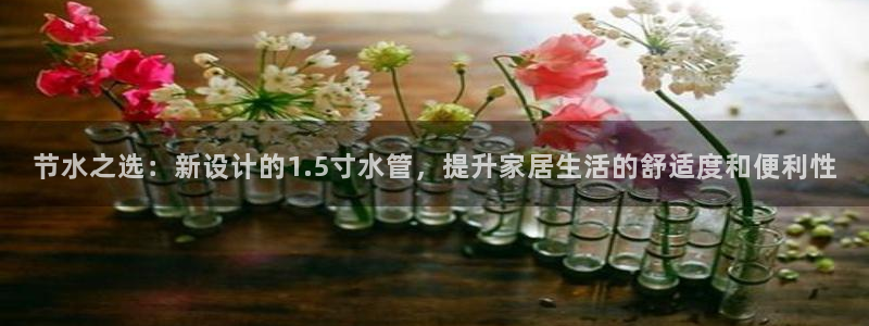 威九国际下载官网app