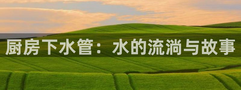 威九国际app入口官网