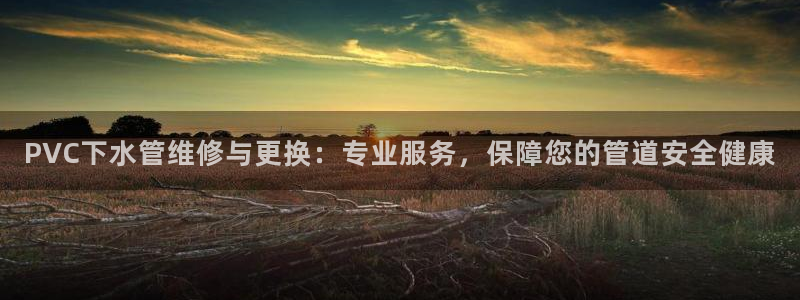 威九国际网站入囗