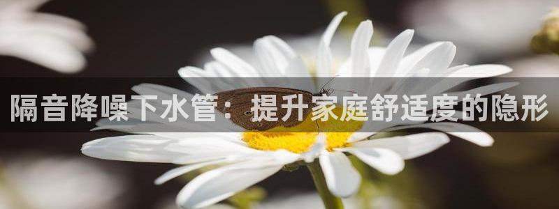 威九国际66m66m
