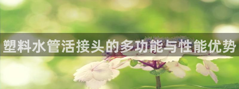 威九国际犯法吗