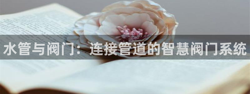 威九国际78m78下载