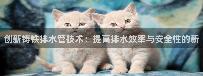 威九国际