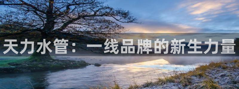 威九国际78mapp官网版下载
