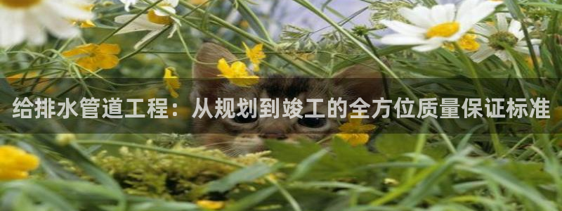 威九国际网站经常打不开网页