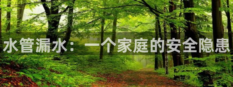 威九国际X8