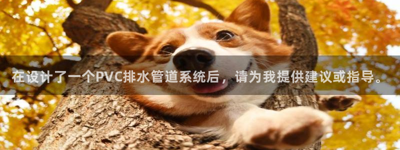 78mapp威九国际官网
