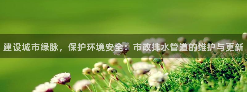 威九国际网站