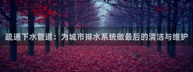 威九国际78m