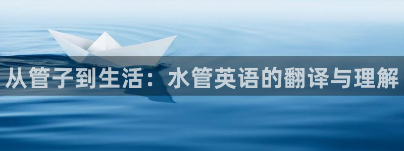 威九国际网站入口地址查询