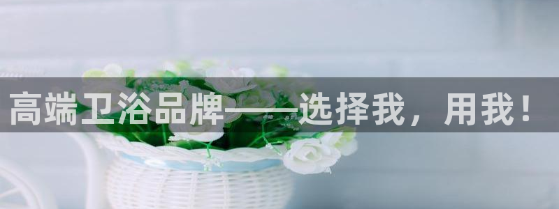 威九国际ppt免费下载