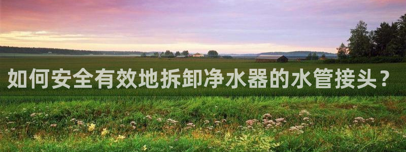 威九国际66m-66