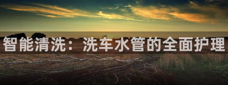 威九国际78mB