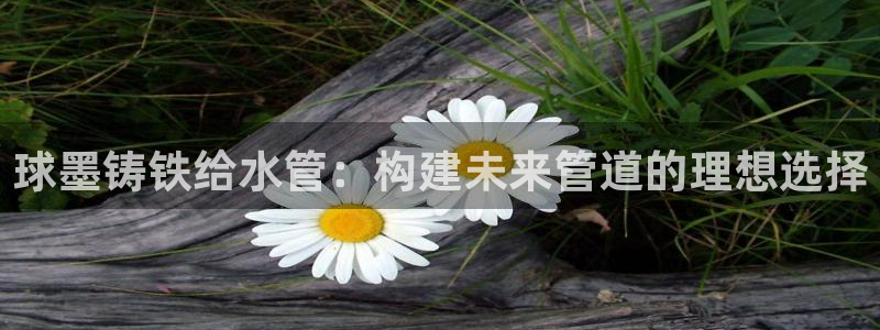 威九国际电视