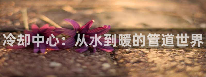 威九国际78mb玩法