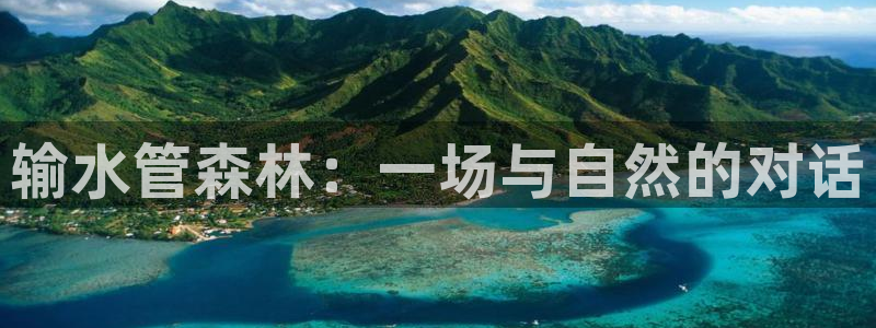 威九国际的网站入口在哪里