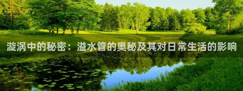 威九国际网站传媒