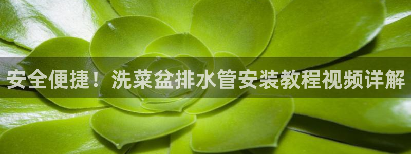 威九国际网站进入客服中心