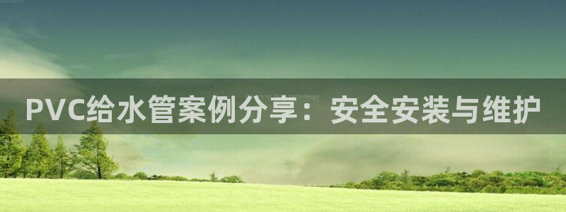 威九国际狂飚电影