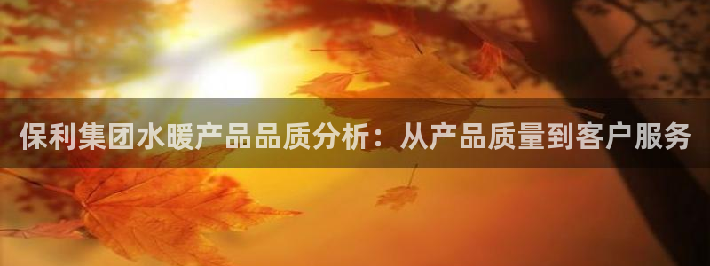 威九国际游戏app(网站)