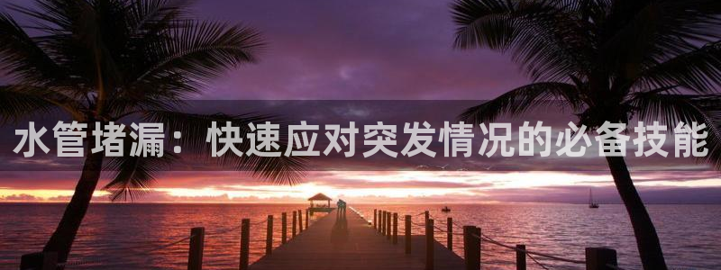 威九国际真人玩家在线对战