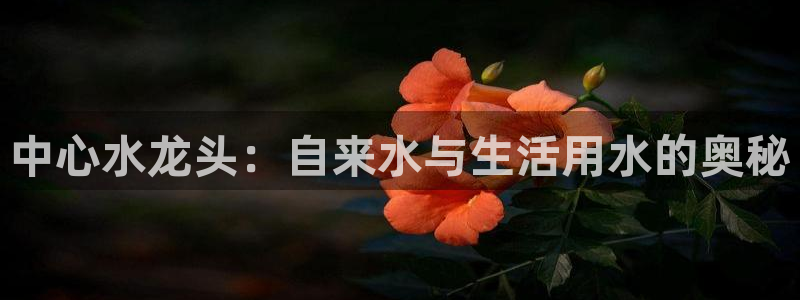 威九国际网站入口&rdpuo