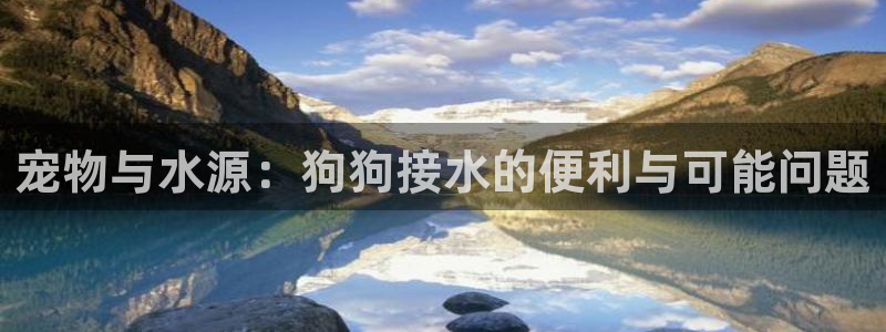 威九国际v96BET