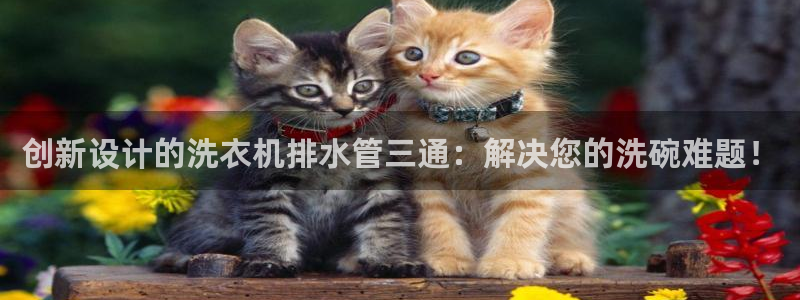 威九国际演员表