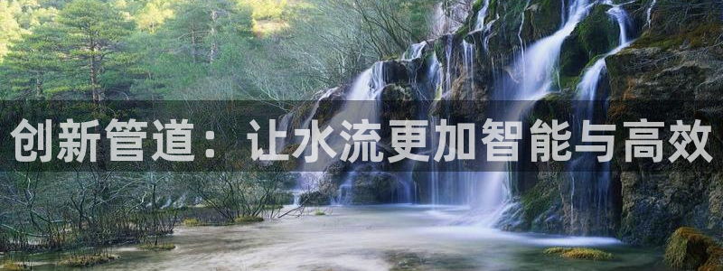 威九国际下载官网app
