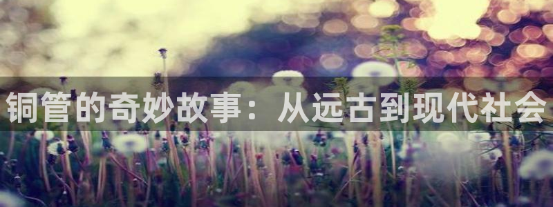 威九国际ppt免费