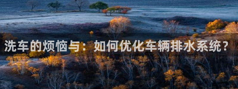 威九国际网站怎么样