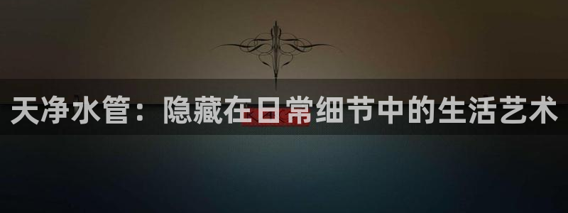 78mapp威九国际成全视频