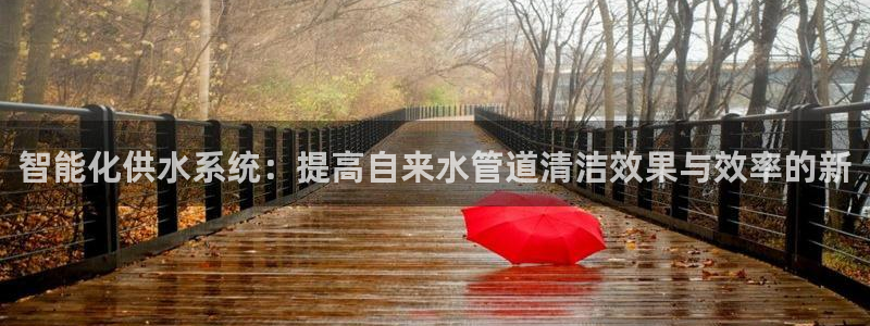 威九国际网站客服电话多少